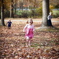 IMG 1442